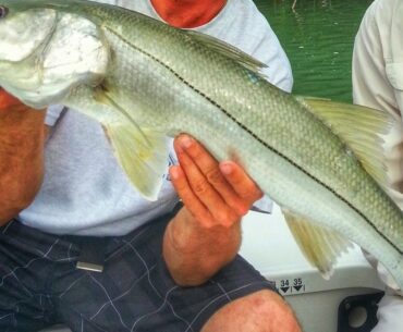 Snook Fishing Baits and Lures with Capt. William Toney