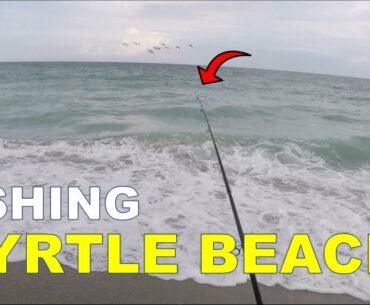 Where and What to Fish for at Myrtle Beach, SC in Summer (MUST WATCH)