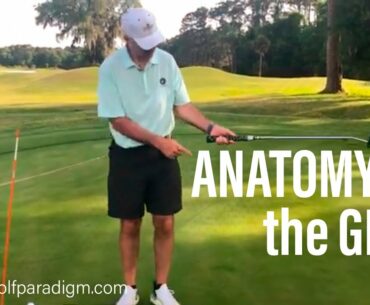 Anatomy in Putting - How to Hold the Putter | The Golf Paradigm