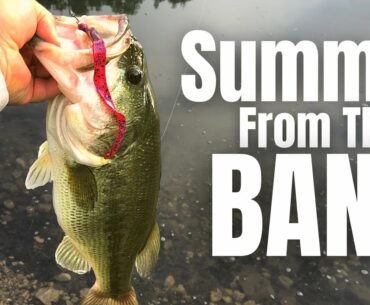 SUMMERTIME Bass Fishing FROM THE BANK (3 Lures You NEED)