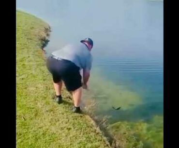 ⛳Golf Swing fishing |Golf Shorts | #Shorts