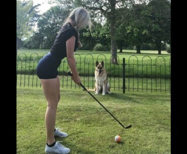 Love dogs. Glad you can play with your dog with your skills. #golf #shorts #golf     | GOLF#SHORT