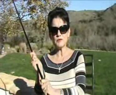 American Ironwoods Testimony Lady Golfer 2.wmv