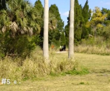 Picnic on Picnic Island, Dis Golf Ladies 727-813 Invade Tampa Bay-Picnic Island 9 hole course