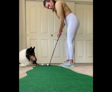 beauty girl golf putting #golf #shorts #golfswing #girlthatgolf   | GOLF#SHORT