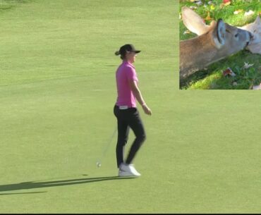 WHAT THE F**K! 13 Fails from the 2019 Ladies Scottish Open LPGA Golf Tournament