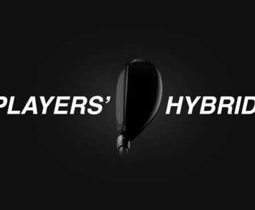 TOP 3 PLAYERS HYBRIDS of 2021