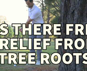 My Ball is on a TREE ROOT, free relief? - Golf Rules Explained