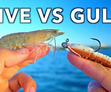 LIVE Shrimp vs. GULP Shrimp Inshore Fishing Experiment