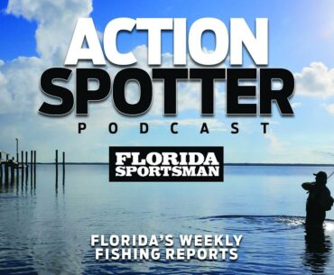 Episode 115: Fall Patterns Begin | Action Spotter Podcast