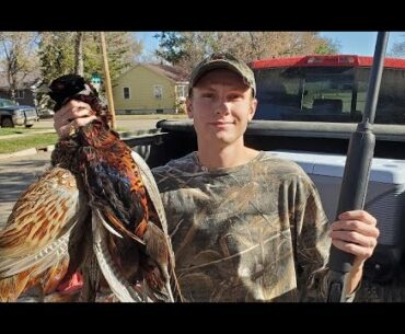 INSANE North Dakota Pheasant Hunting! (5 man limit)