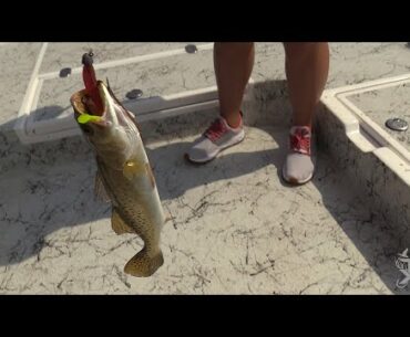 Speckle Trout Fishing with Artificial Lures!