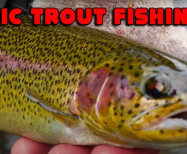 12 Minutes Of TROUT FISHING MADNESS! Bobber Downs, DRONE Bites, HUGE FISH, & More!!