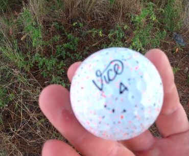 Hunting for Golf Balls in Florida