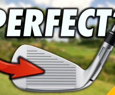Are these PERFECT Golf Clubs?!
