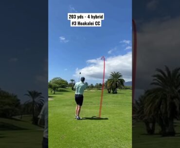 Golf swing | Almost jarred it | Playing Hoakalei Country Club #short