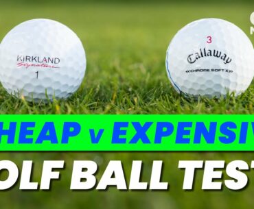 CHEAP v EXPENSIVE GOLF BALL TEST!!