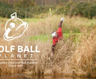 Step Up Your Golf Game With Used Golf Balls From Golf Ball Planet