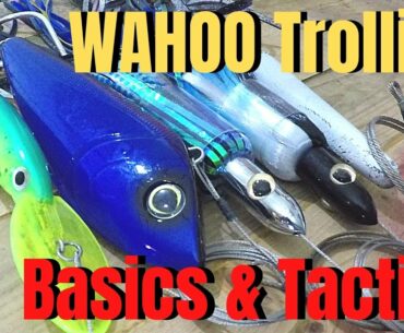 How to catch WAHOO high speed trolling Basics & tactics