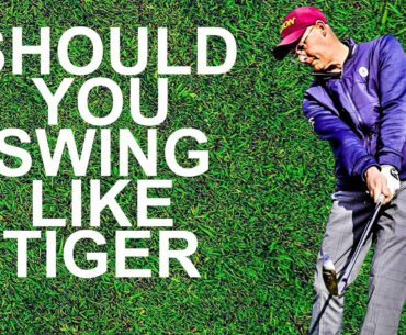 SHOULD YOU SWING YOUR GOLF SWING