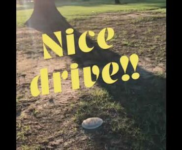 Disc Golf Moments Ladies League