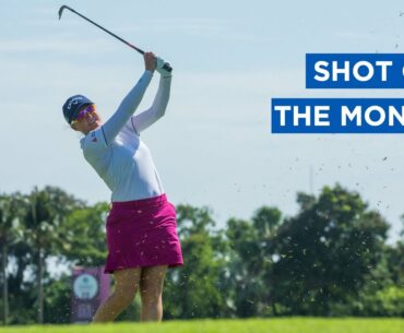 Shot of the Month | May