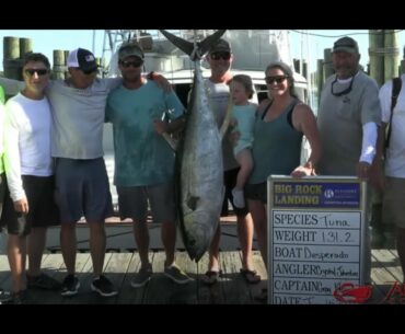 The Big Rock Blue Marlin Tournament Day 3 Game Fish & Desperado's 131.2lbs Tuna