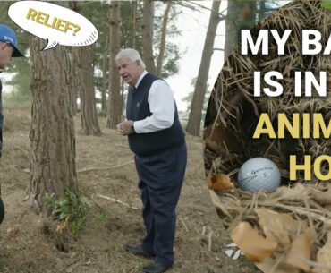 Rules of Golf Explained: Do you get free relief from an animal hole?