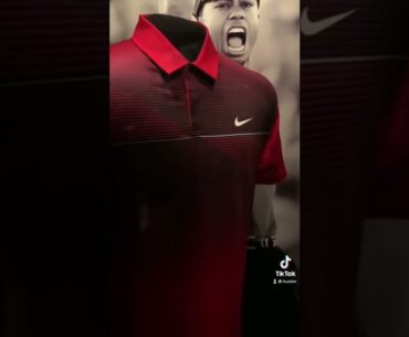 Tiger Woods Game Worn Sunday Red Nike Golf Shirt!!! #shorts