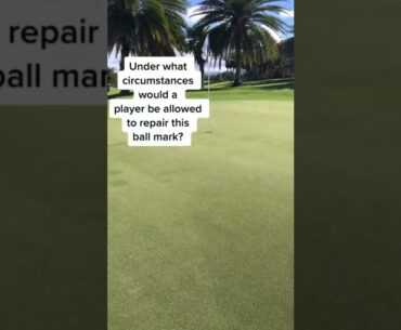 Rules of golf line of play | fixing a ball mark off the green