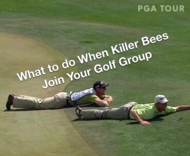 Watch These Golfers Avoid a Swarm of Bees - Golf Rules