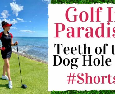 Golf Babe Golf Swing In Paradise - Teeth of the Dog Hole #8