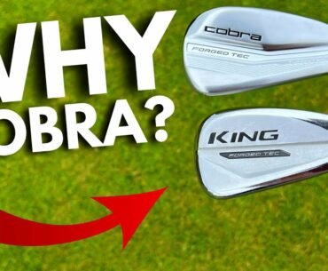 Have Cobra RUINED The PERFECT IRONS!?