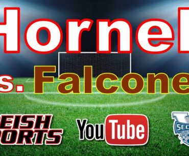 Hornell Lady Raiders JV vs. Falconer Lady Golden JV Falcons Girl's JV Soccer