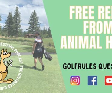 FREE RELIEF From an Animal Hole - Golf Rules Explained