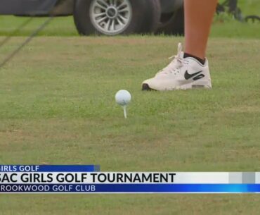 Bishop Dwenger sweeps team, individual titles at SAC Girls Golf Tournament