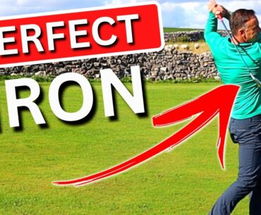 NEVER SEEN THIS BEFORE! - The PERFECT Golf Iron!