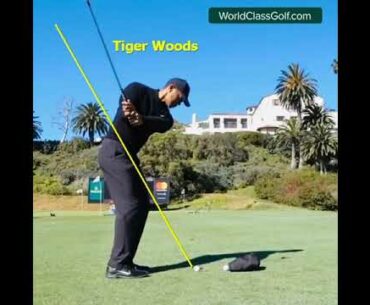 Tiger Woods! - Technique you’ve NEVER SEEN!   #shorts #golfswing #craighansongolf  #tigerwoods