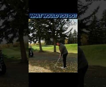 Which golf club would you use for this chip shot? #golfshorts #shorts #golf