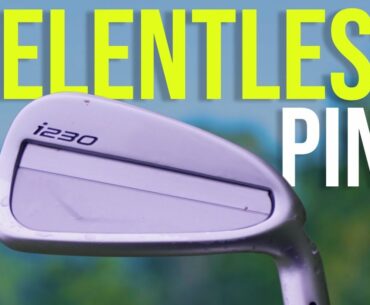 PING ARE JUST RELENTLESS i230 irons