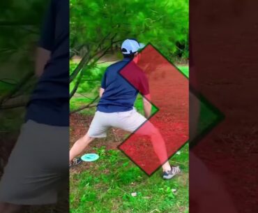 The Rule Most Disc Golfers Break Without Realizing it!