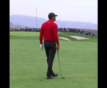 Tiger Woods Ball Fails to Stay in - Golf Rules