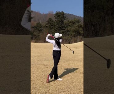 이거 중독성있넹 ⭕️ #golf  #골프  | GOLF VN #shorts