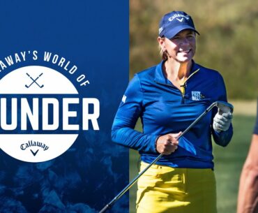 Annika Sorenstam - Paradym Irons vs. Gamer Irons \ World of Wunder