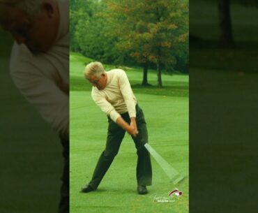 Moe Norman's Golf Swing Collage