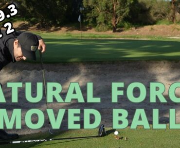 Natural Forces Moved Ball After Relief Taken - Golf Rules Explained
