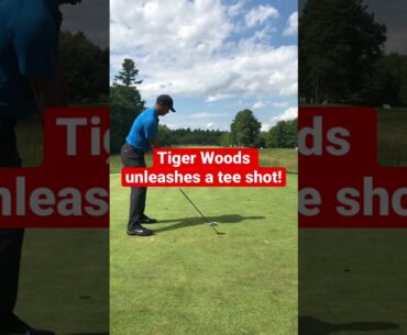 Tiger Woods unleashes a golf tee shot!! #golf #tigerwoods #shorts_