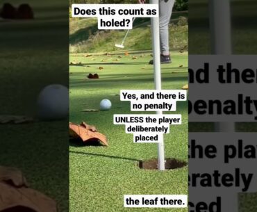 Ball Is Deflected Off Leaf, Does It Count? - Golf Rules Explained