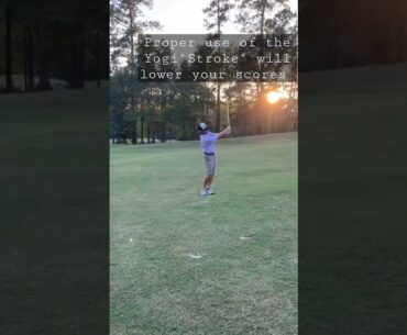 Count Yogi "stroke" golf swing demonstration