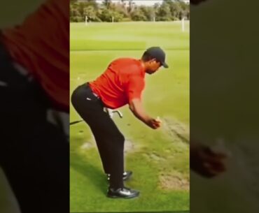 Tiger woods iron drill #golfshorts #tigerwoods #shorts #pgatour